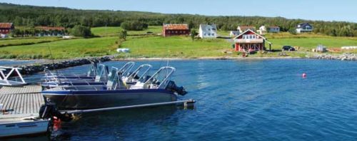 Larseng Kystferie Angelreisen K Borchert Objekte In Nordnorwegen 1