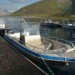 Boats - parked by the pier