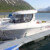 Arvor 215